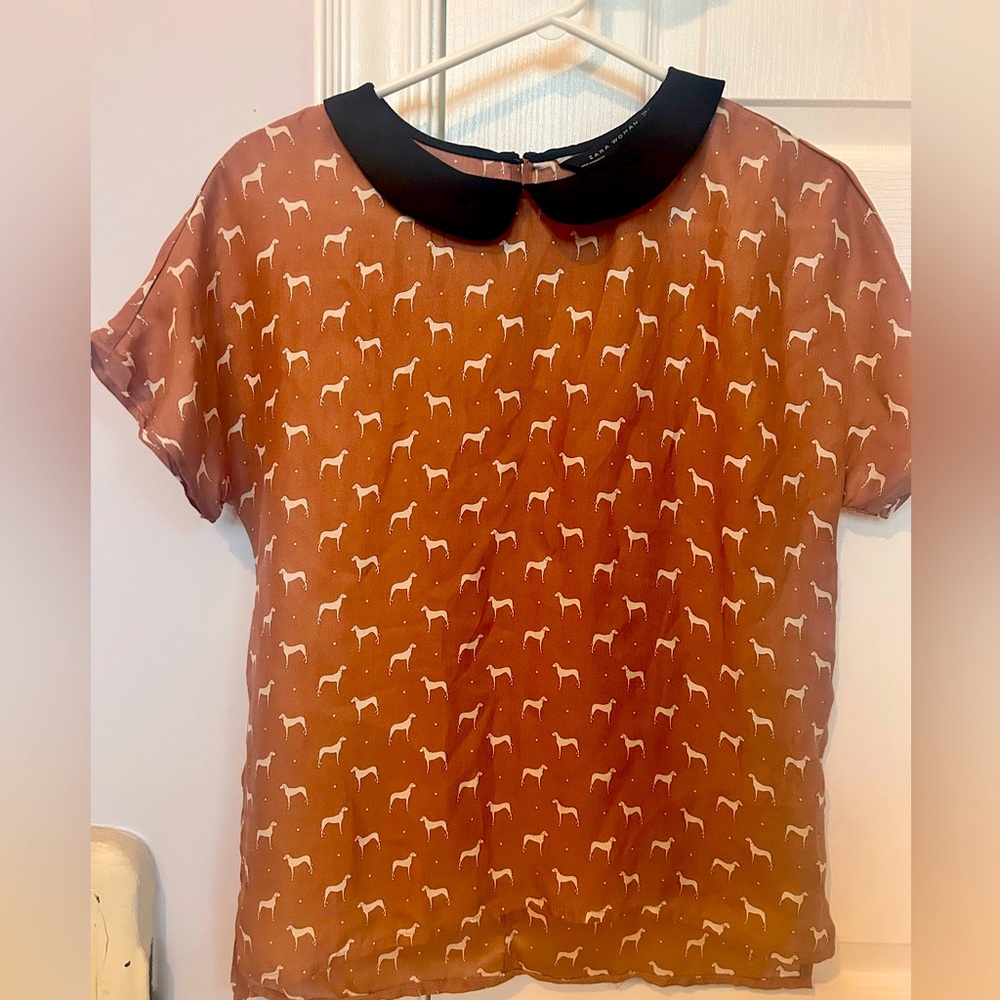 Zara top with dog print